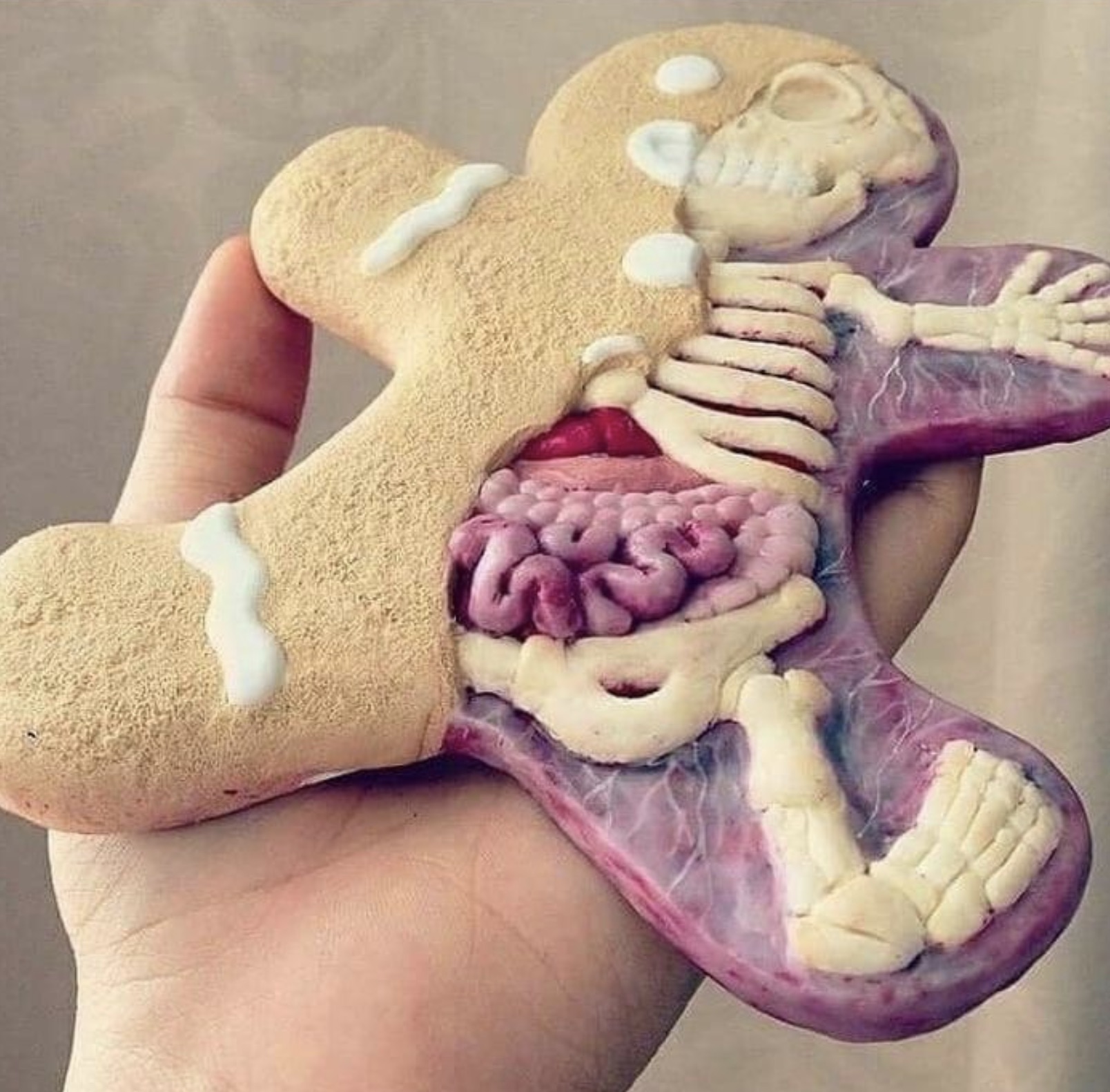 anatomy of a gingerbread man